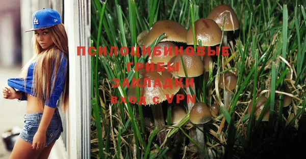 МДПВ Белокуриха
