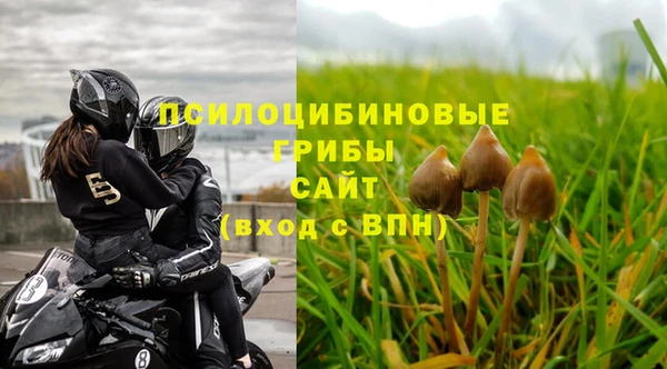 МДПВ Белокуриха