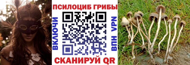 MEGA tor  Новотитаровская  Галлюциногенные грибы мухоморы 